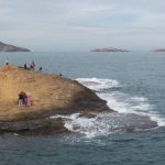 Tres islas ocultas en el Mediterráneo, un santuario impenetrable y la foca monje como protagonista: así es la vida secreta de las Islas Chafarinas