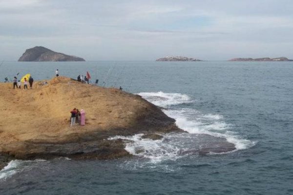 Tres islas ocultas en el Mediterráneo, un santuario impenetrable y la foca monje como protagonista: así es la vida secreta de las Islas Chafarinas