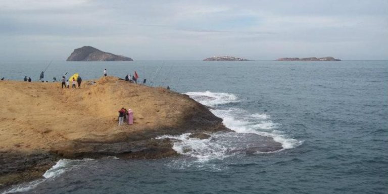 Tres islas ocultas en el Mediterráneo, un santuario impenetrable y la foca monje como protagonista: así es la vida secreta de las Islas Chafarinas