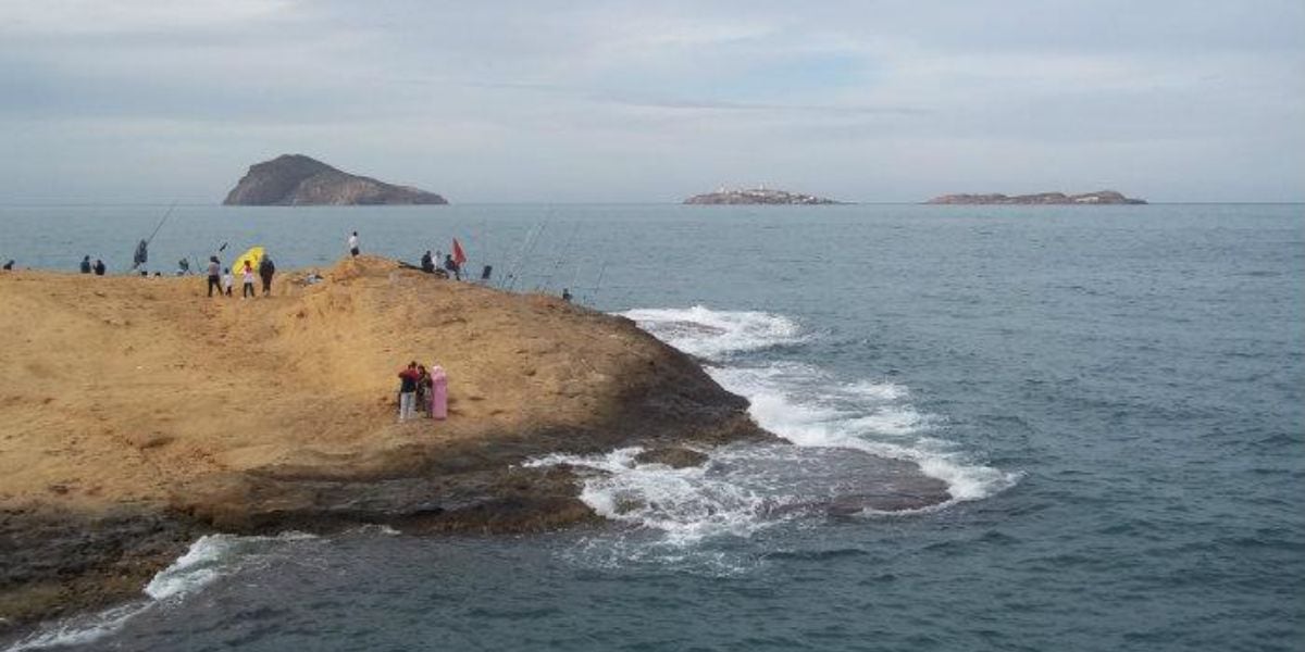 Tres islas ocultas en el Mediterráneo, un santuario impenetrable y la foca monje como protagonista: así es la vida secreta de las Islas Chafarinas
