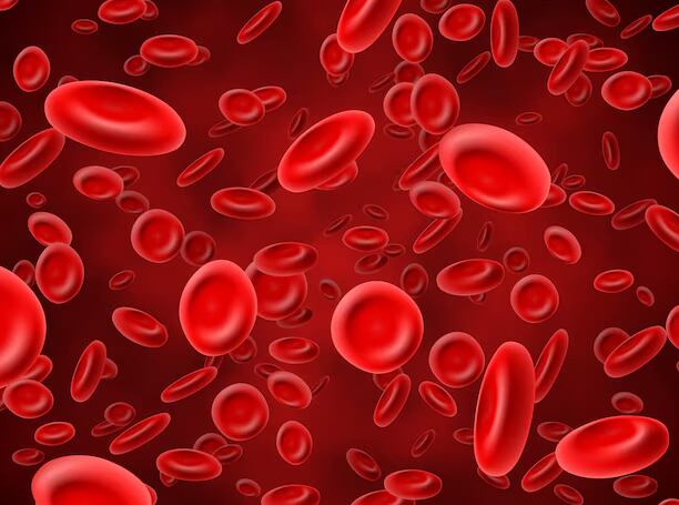 La diabetes tipo 2 representa más del 90 por ciento de los casos globales y ahora un análisis de metabolitos en sangre permite anticipar el riesgo con mayor precisión (Freepik)