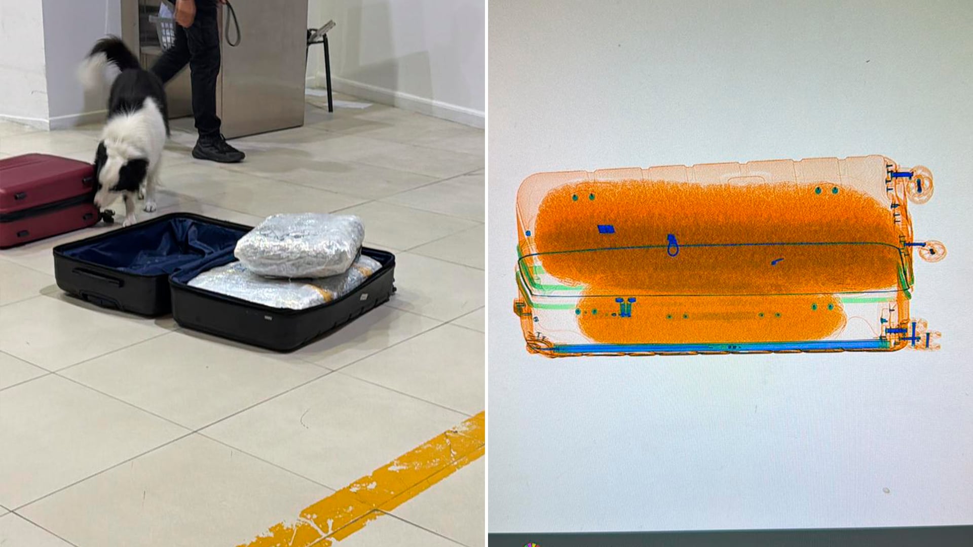 Un pasajero fue descubierto con 17 kilos de marihuana ocultos en una valija