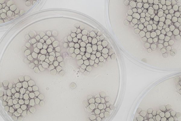 Una técnica argentina permite cultivar piel con células del paciente: por qué puede transformar el tratamiento de quemaduras