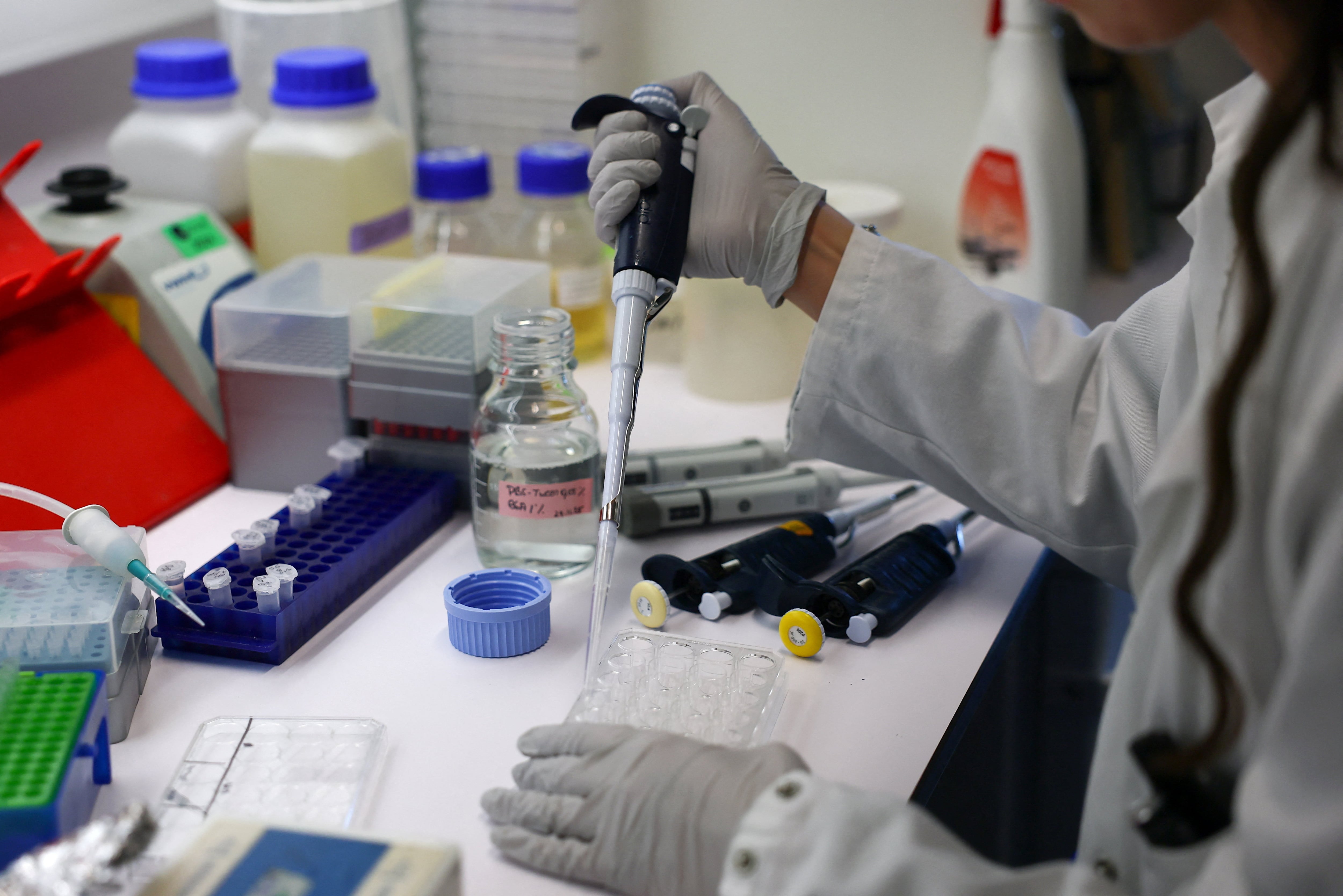 La gripe aviar H5N1 causó brotes masivos desde 2020. Afectó aves y mamíferos como focas y vacas en América Latina y otras regiones/Archivo REUTERS/Gonzalo Fuentes