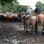 Uruguay toma nuevas medidas por el dólar bajo y los problemas de competitividad de las exportaciones
