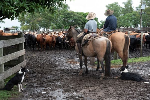 Uruguay toma nuevas medidas por el dólar bajo y los problemas de competitividad de las exportaciones