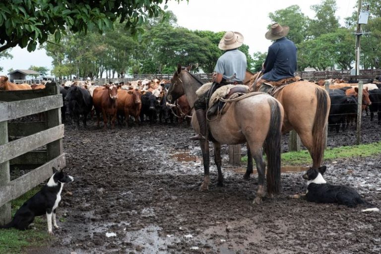 Uruguay toma nuevas medidas por el dólar bajo y los problemas de competitividad de las exportaciones