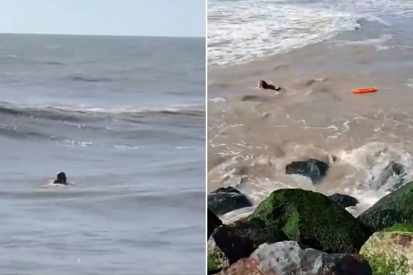 Video: el dramático rescate de un pescador arrastrado por la corriente en Las Toninas