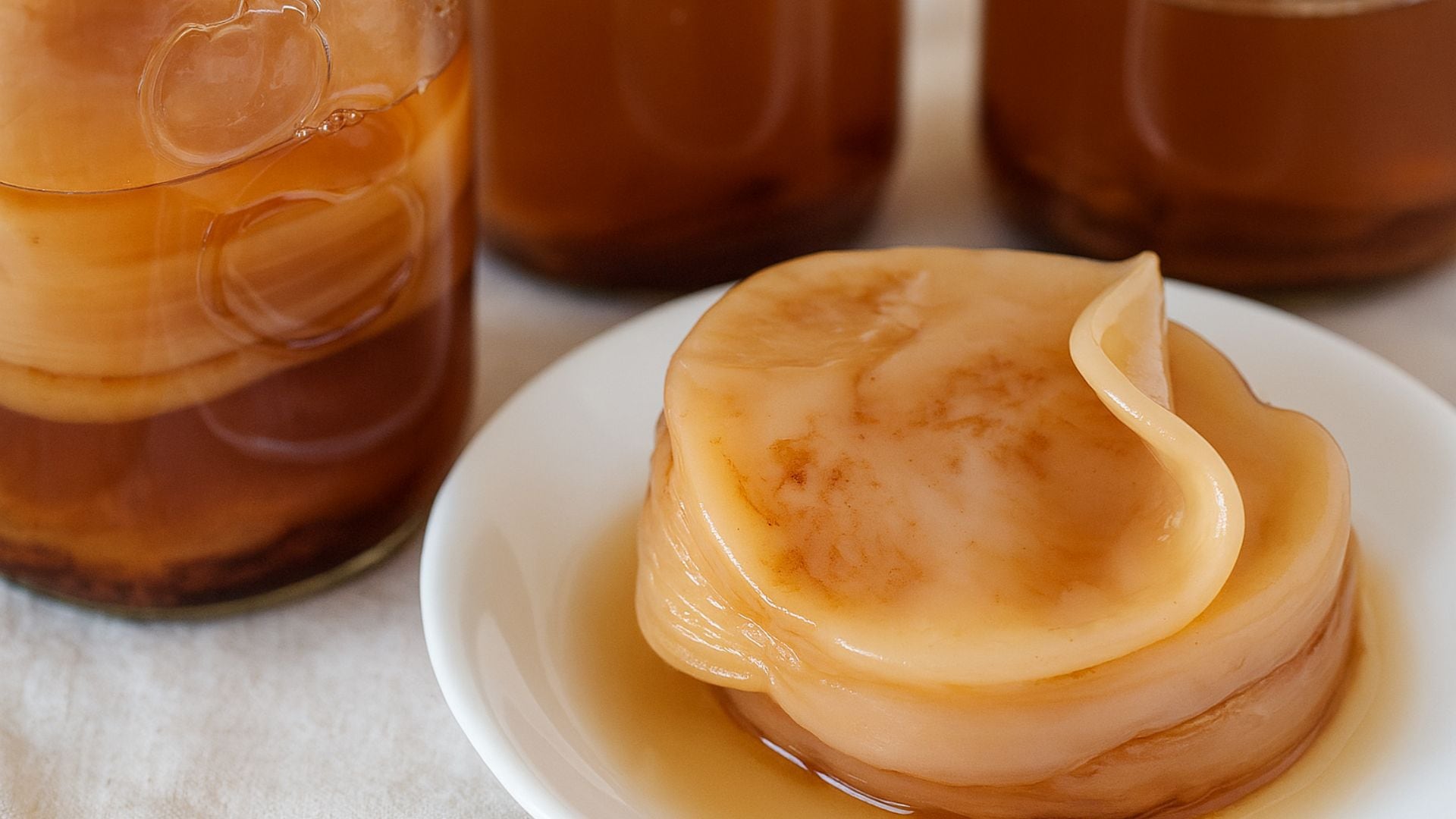 La kombucha es una bebida fermentada a base de té verde y una colonia simbiótica de bacterias y levaduras denominada SCOBY (Imagen Ilustrativa Infobae)