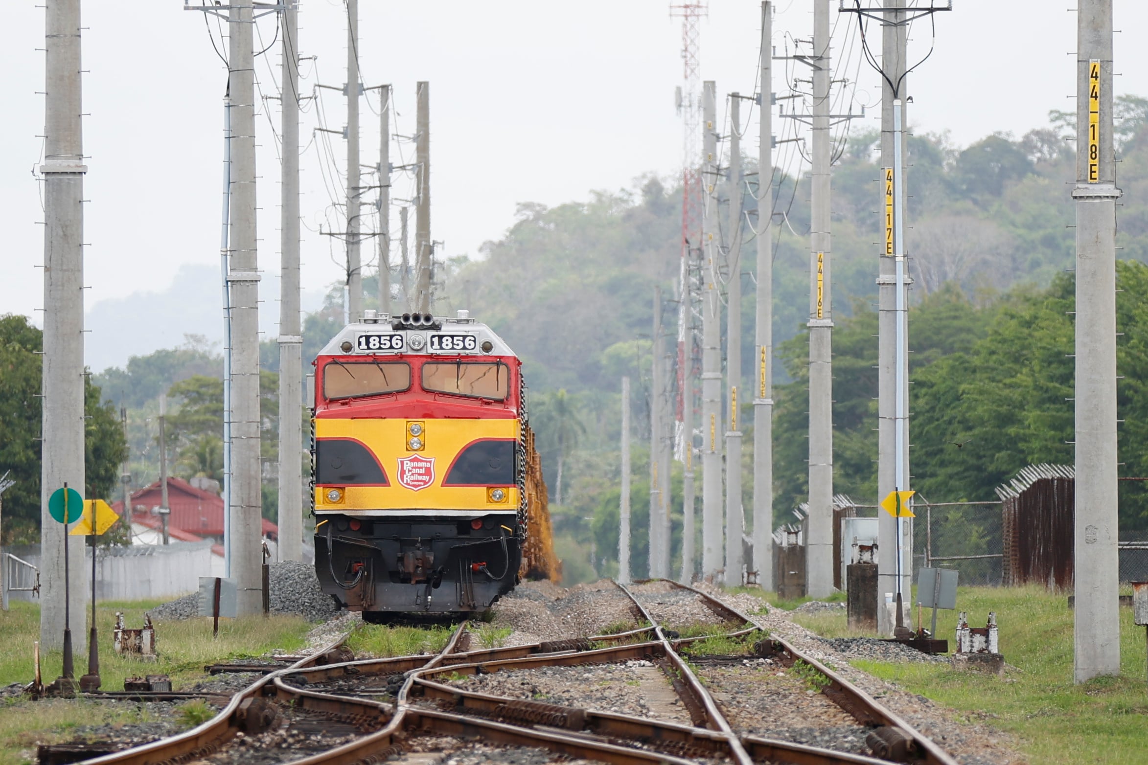 El accidente ocurrió en la vía del ferrocarril a la altura de la entrada al Centro de Visitantes de Miraflores durante horas de la mañana. EFE/ Bienvenido Velasco 