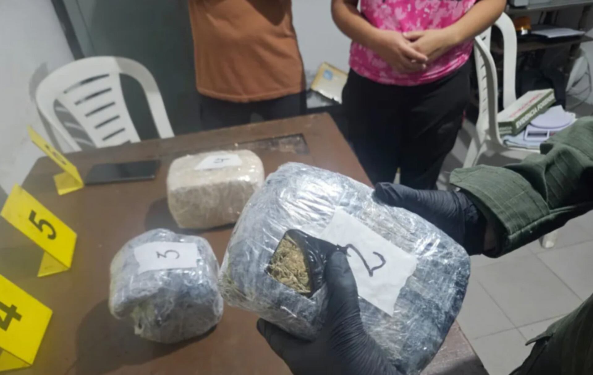La marihuana secuestrada a la mujer detenida (El Tribuno)