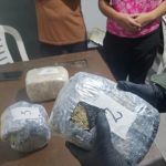 Acompañada de su hija menor de edad, transportaba casi 4 kilos de marihuana en un micro que viajaba a Mendoza