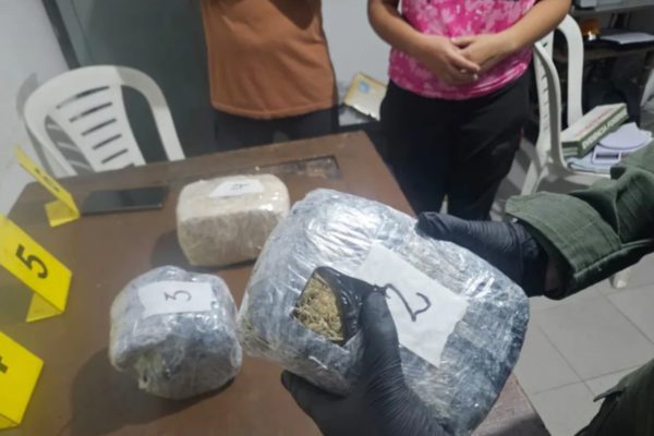 Acompañada de su hija menor de edad, transportaba casi 4 kilos de marihuana en un micro que viajaba a Mendoza