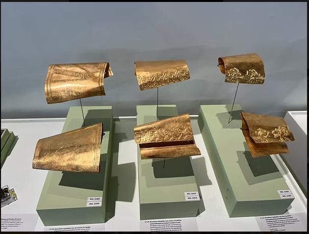 Ornamentos de oro, orejeras y brazaletes recuperados en temporadas anteriores evidencian el poder simbólico y político de los líderes enterrados en el sitio. Cortesía de Fundación El Caño