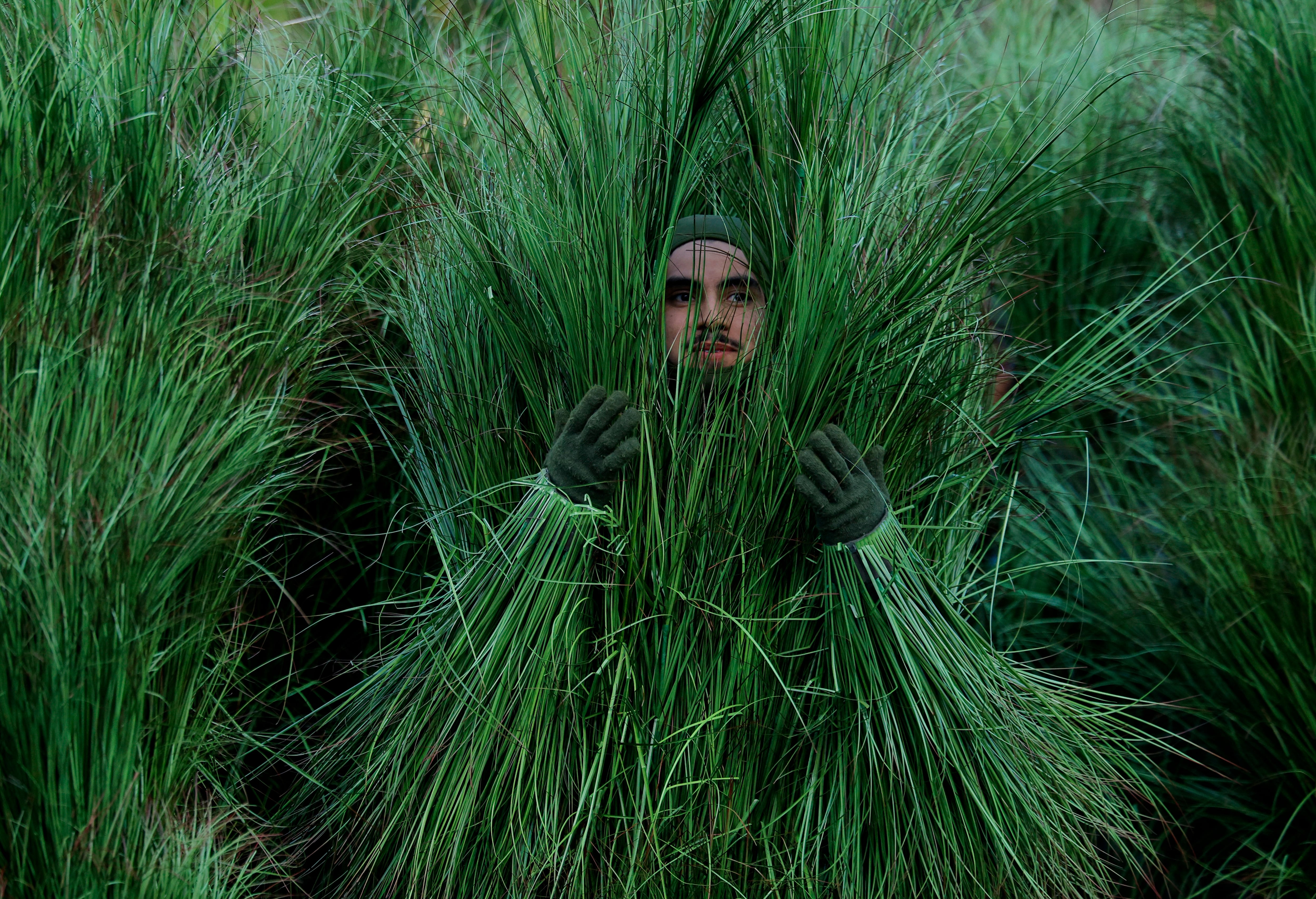 Así comenzó la presentación de Bad Bunny (REUTERS/Mike Blake)