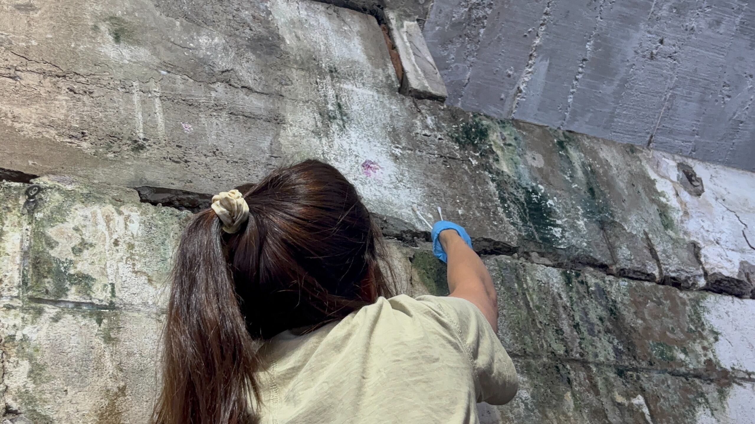 Científicos del Institut Pasteur estudian bacterias en construcción del Estadio Centenario (Institut Pasteur)