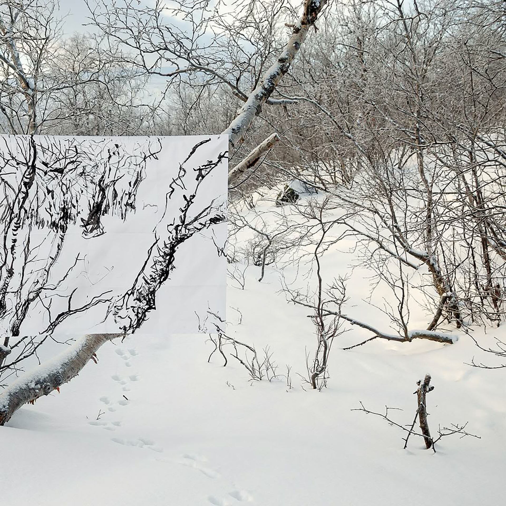 Fotografía de Gaspar Acebo