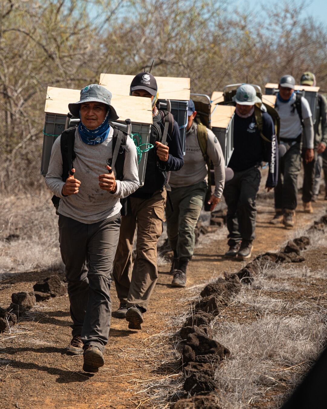 La liberación de tortugas en Floreana representa un hito para la restauración ecológica del archipiélago