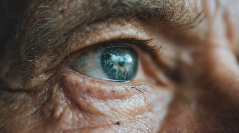 Cómo prevenir la miopía y otras enfermedades oculares con acciones simples y efectivas, según expertos