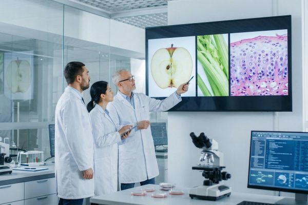 Crean cartílago para uso humano a partir de vegetales: cómo funciona la técnica que promete transformar la medicina regenerativa