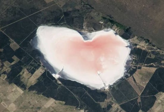 Un lago salado argentino visible desde órbita presenta color rosado por microorganismos, el fenómeno muestra interacción entre clima y vida (NASA) 