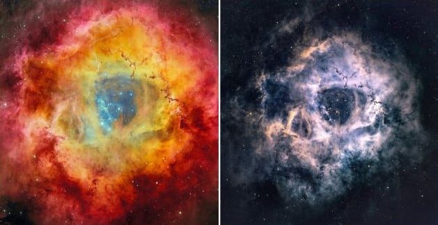 La Nebulosa Roseta contiene gas y polvo iluminados por estrellas, su estructura muestra cómo nacen sistemas estelares dentro de la galaxia (NASA)