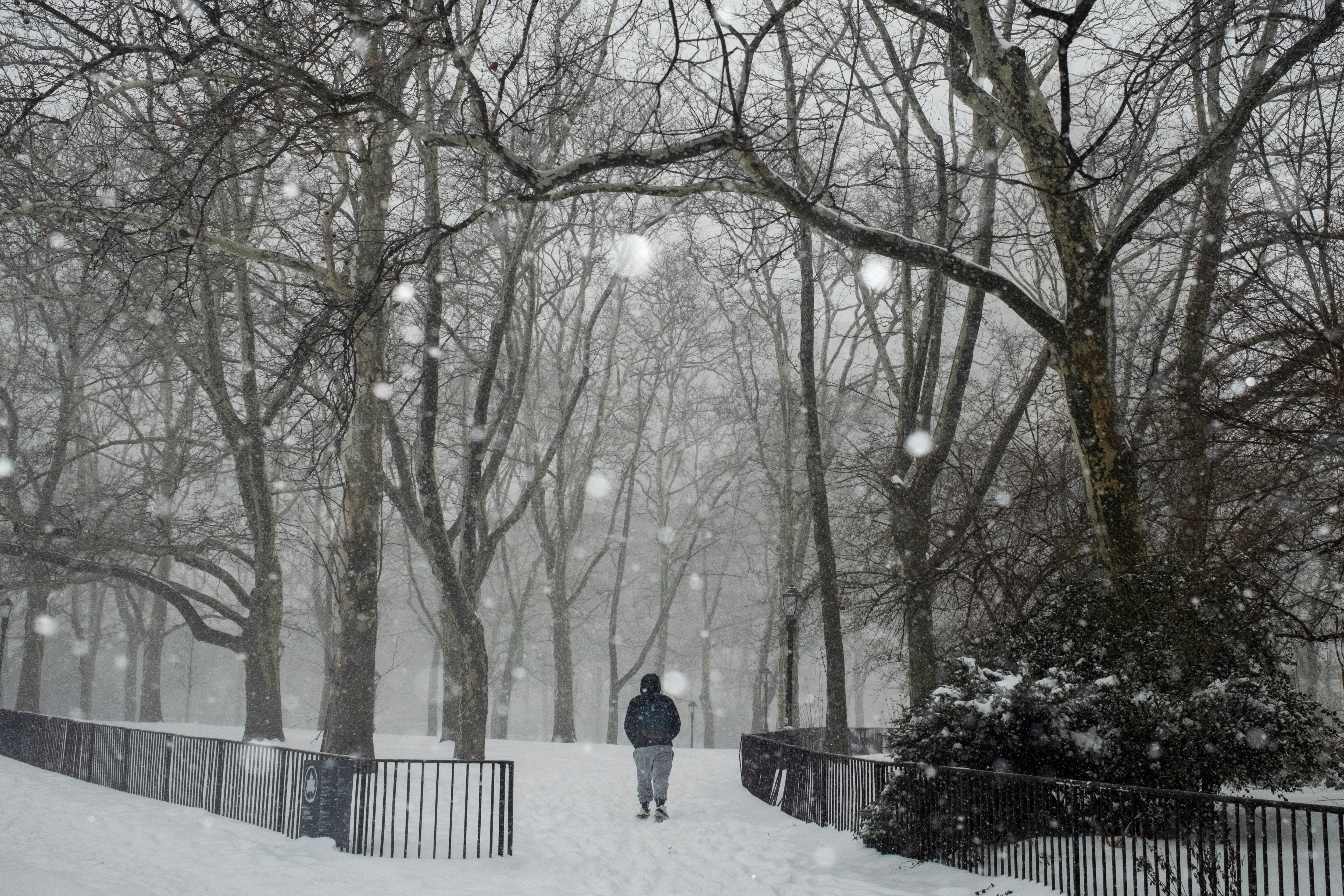 El National Weather Service alertó sobre riesgos de movilidad y cortes de energía por nieve y caída de árboles en áreas montañosas de California y Nevada. (REUTERS/Amr Alfiky)