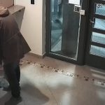 Echaron de su empleo público al hijo de un ex gobernador de Neuquén por “ñoqui”: el video que lo muestra fichando y escapando