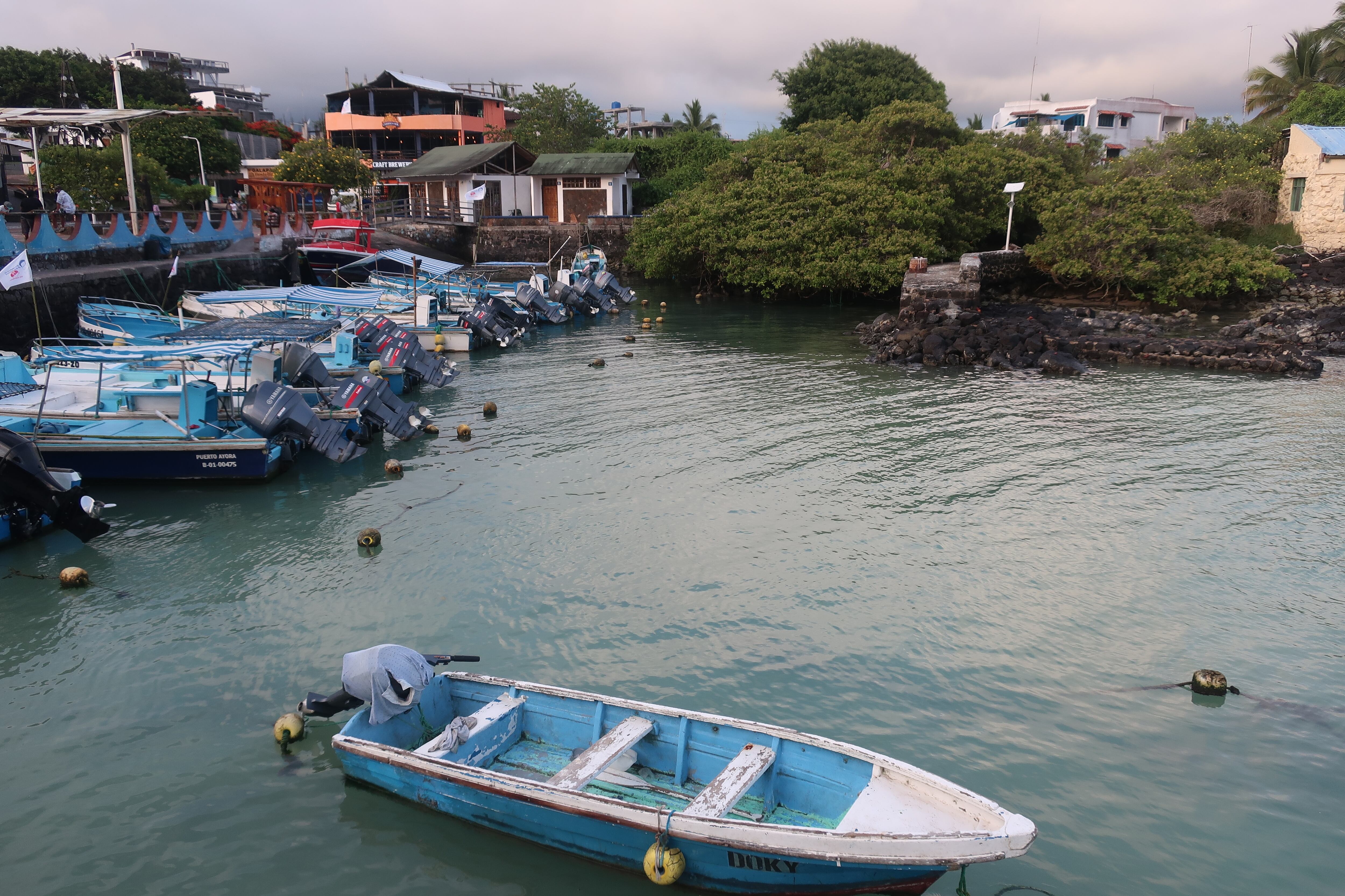 Fotografía de archivo del 23 de enero de 2021 de embarcaciones de pesca artesanal amarradas a un embarcadero de Puerto Ayora, en la isla de Santa Cruz del archipiélago de Galápagos (Ecuador). EFE/ Daniela Brik