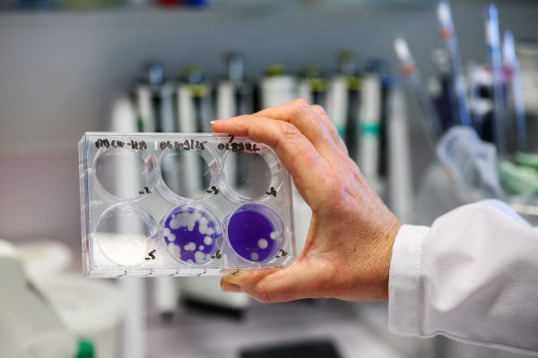 El Ministerio de Salud adelantó la campaña antigripal: las razones y quiénes deben vacunarse