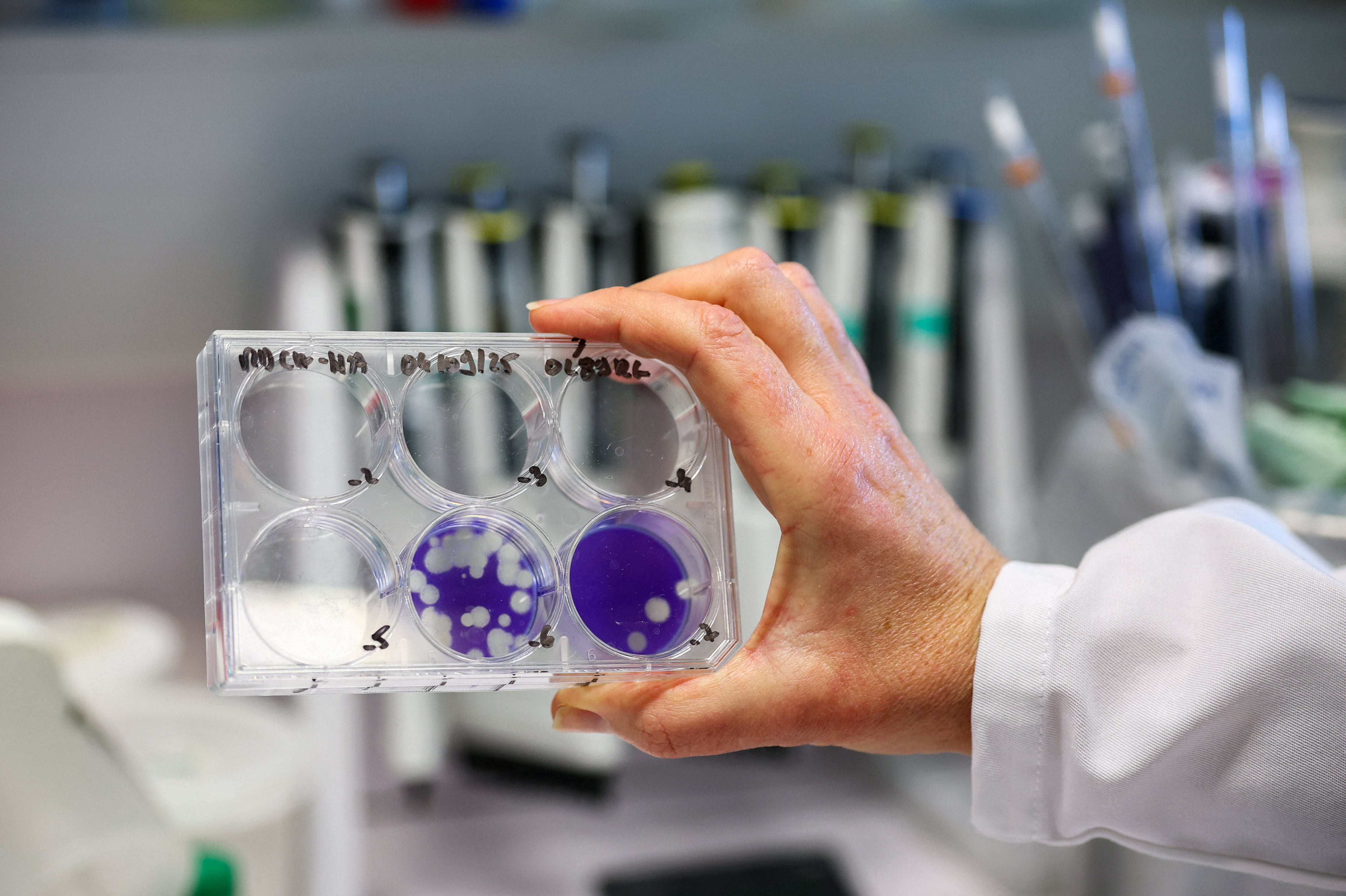 Cada jurisdicción organizará la aplicación y comunicará los vacunatorios y cronogramas correspondientes (REUTERS/Gonzalo Fuentes)