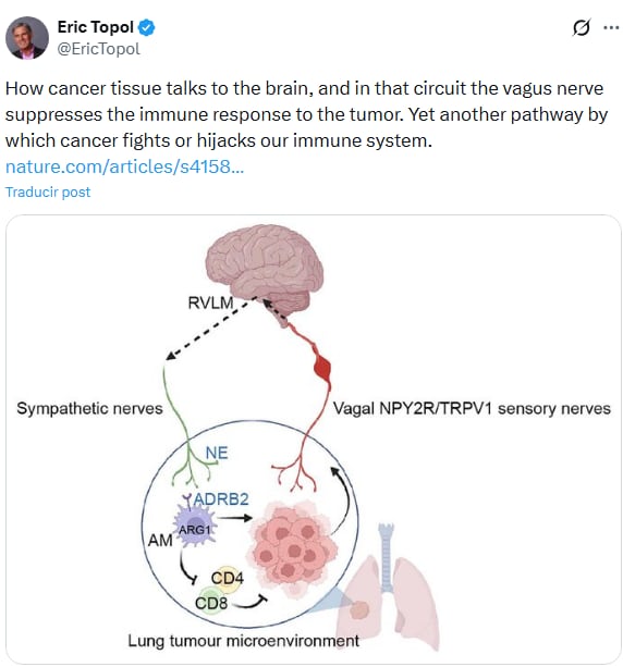 Para Eric Topol, el hallazgo marca una nueva vía por la cual los tumores logran evadir la vigilancia inmunológica. X Topol