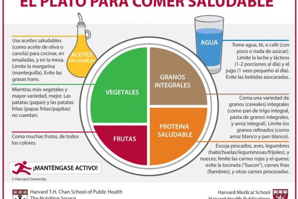 El plato ideal para alimentarse bien, según la Universidad de Harvard