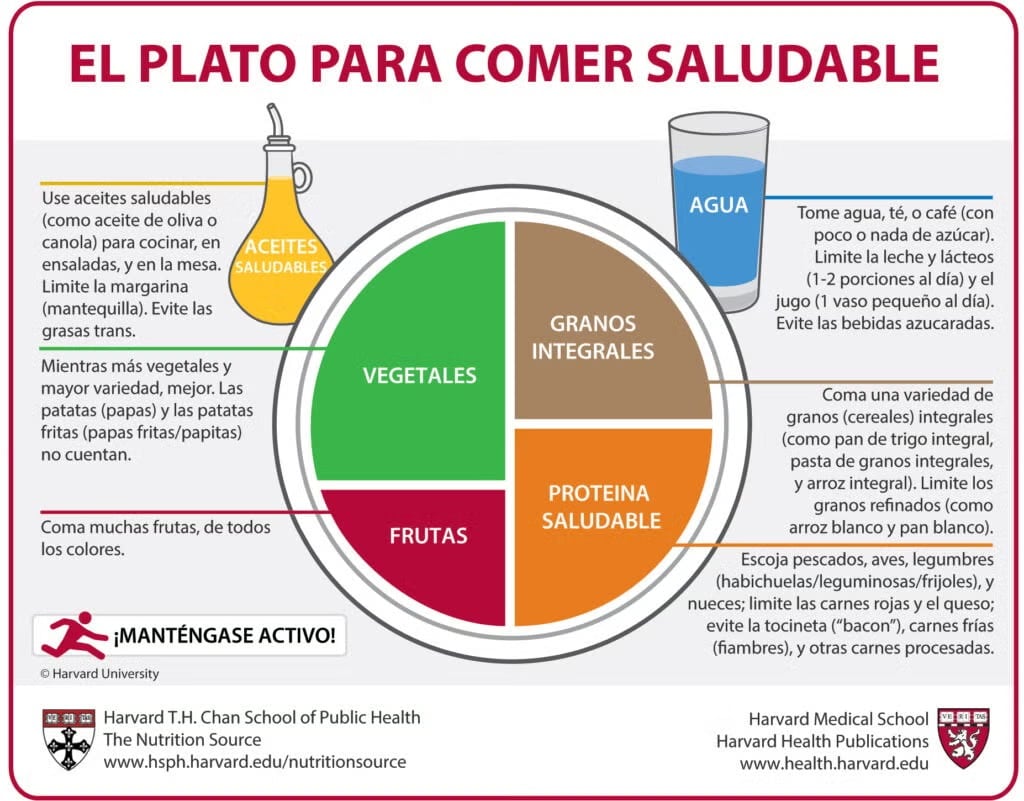El plato ideal para alimentarse bien, según la Universidad de Harvard
