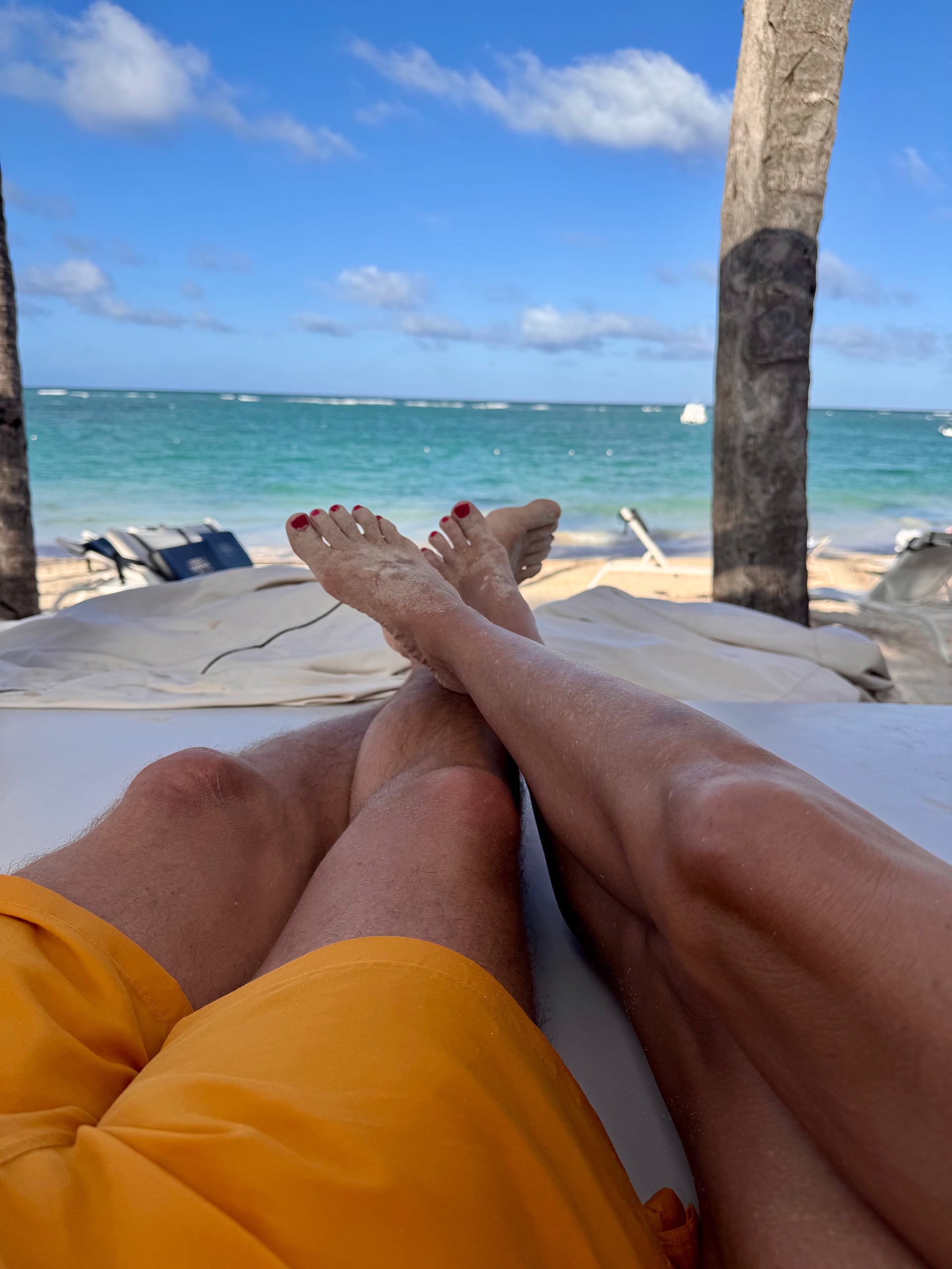 Fabiana Araujo relató cómo respondió inmediatamente que sí a la propuesta de casamiento de Marcelo Dimini