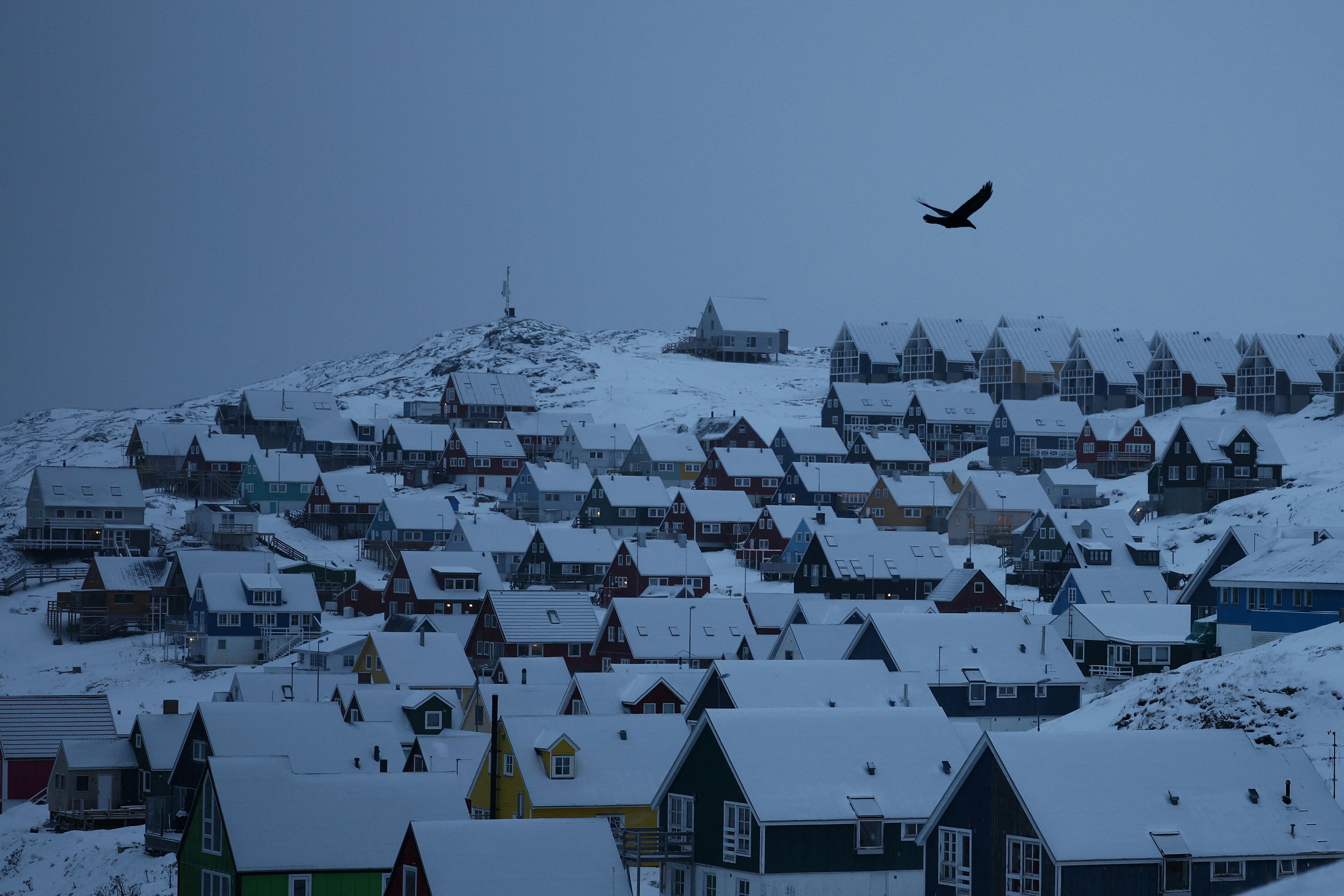 Un cuervo vuela sobre las casas durante una fuerte nevada en Nuuk, Groenlandia (REUTERS/Stoyan Nenov)