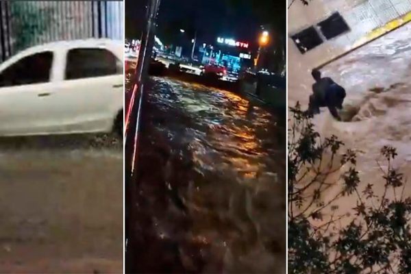 Fuerte temporal en Mendoza: decenas de evacuados, caída de árboles y problemas por posible falta de agua