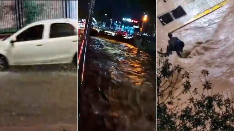 Fuerte temporal en Mendoza: decenas de evacuados, caída de árboles y problemas por posible falta de agua