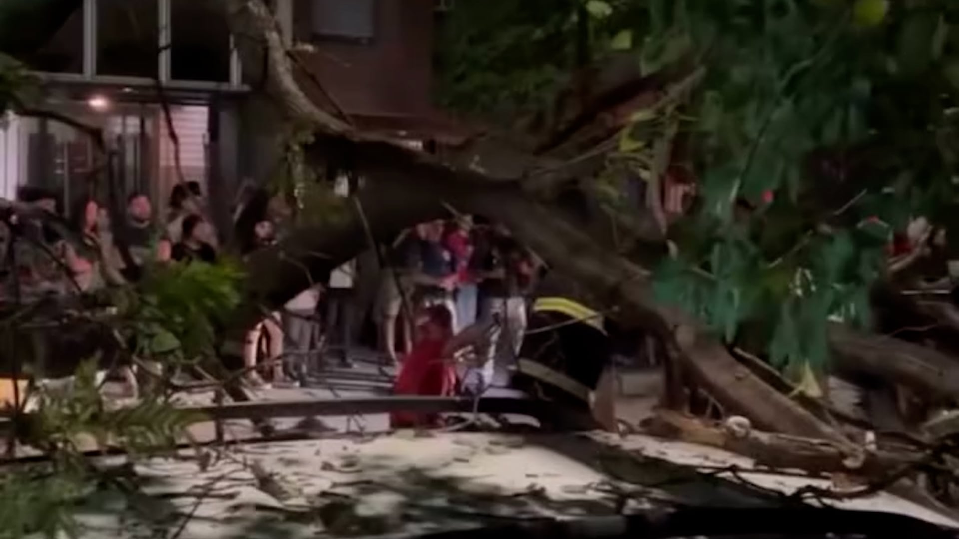 En Córdoba, un árbol cayó y atrapó a un repartidor.