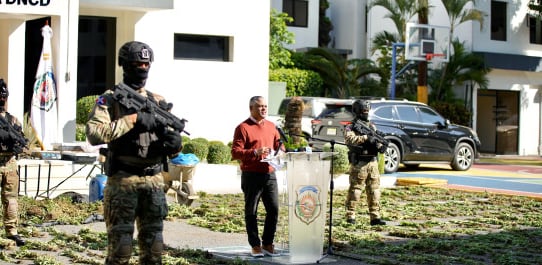 Incautan más de 1,800 plantas de marihuana en operativo en Baní, República Dominicana