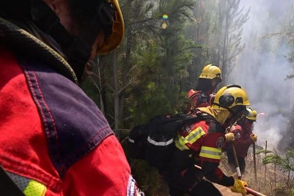 Incendios en Chubut: brigadistas vuelven a combatir las llamas que soportaron el paso de las lluvias