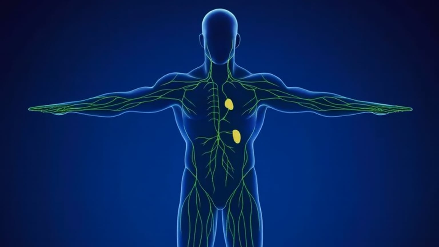 Las técnicas de respiración profunda y automasaje linfático ayudan a reducir la hinchazón por sedentarismo o inactividad prolongada (Imagen Ilustrativa Infobae)