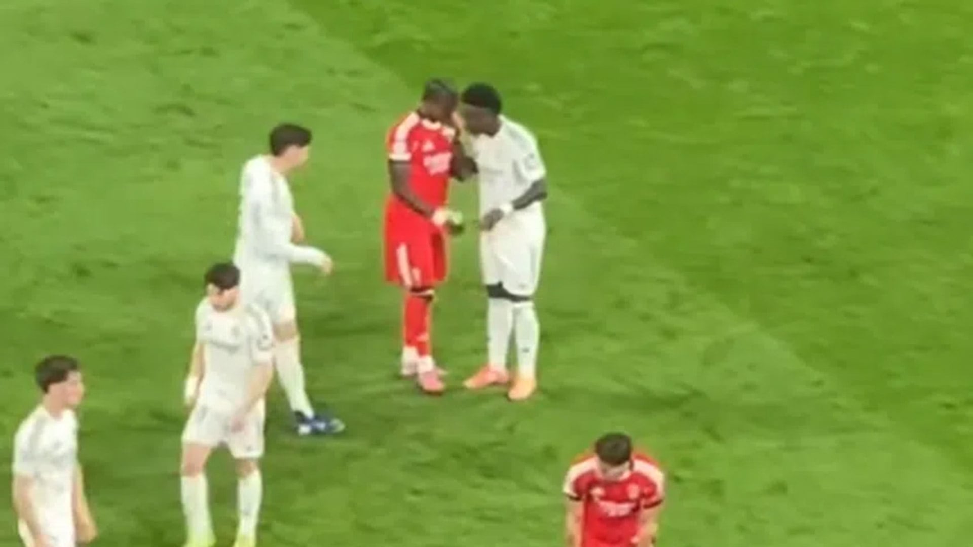 El futbolista del Benfica le habría pedido la camiseta a Vinicius Jr al término del encuentro 