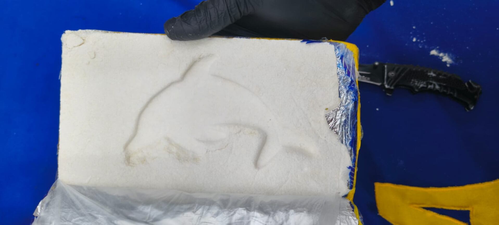 Autoridades incautan un importante cargamento de cocaína con el sello de un delfín durante un operativo llevado a cabo en la terminal de Orán. (Policía Federal)