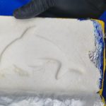 La Policía Federal decomisó más de 25 kilos de cocaína en operativos llevados a cabo en Santiago del Estero y Salta