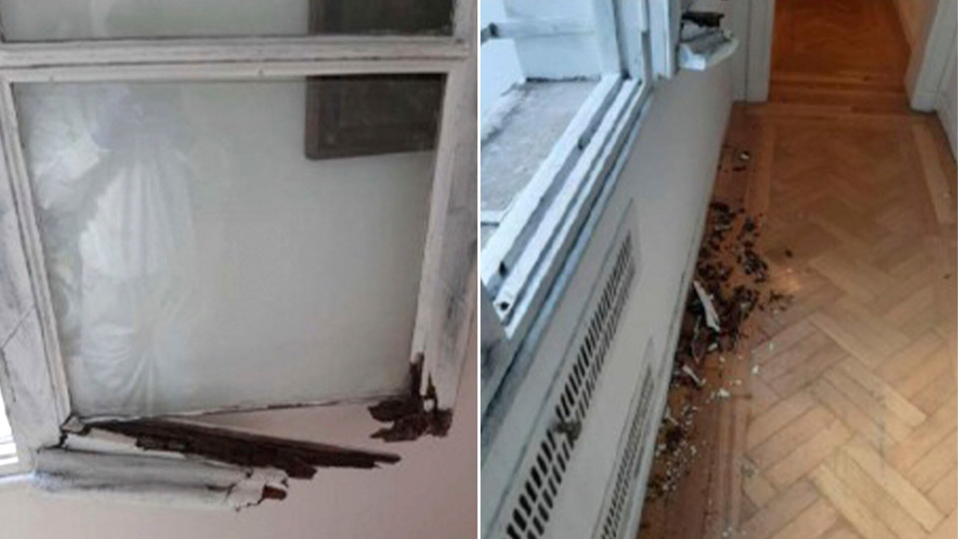 La ventana desde donde cayó Emmily (Fiscales.gob.ar)