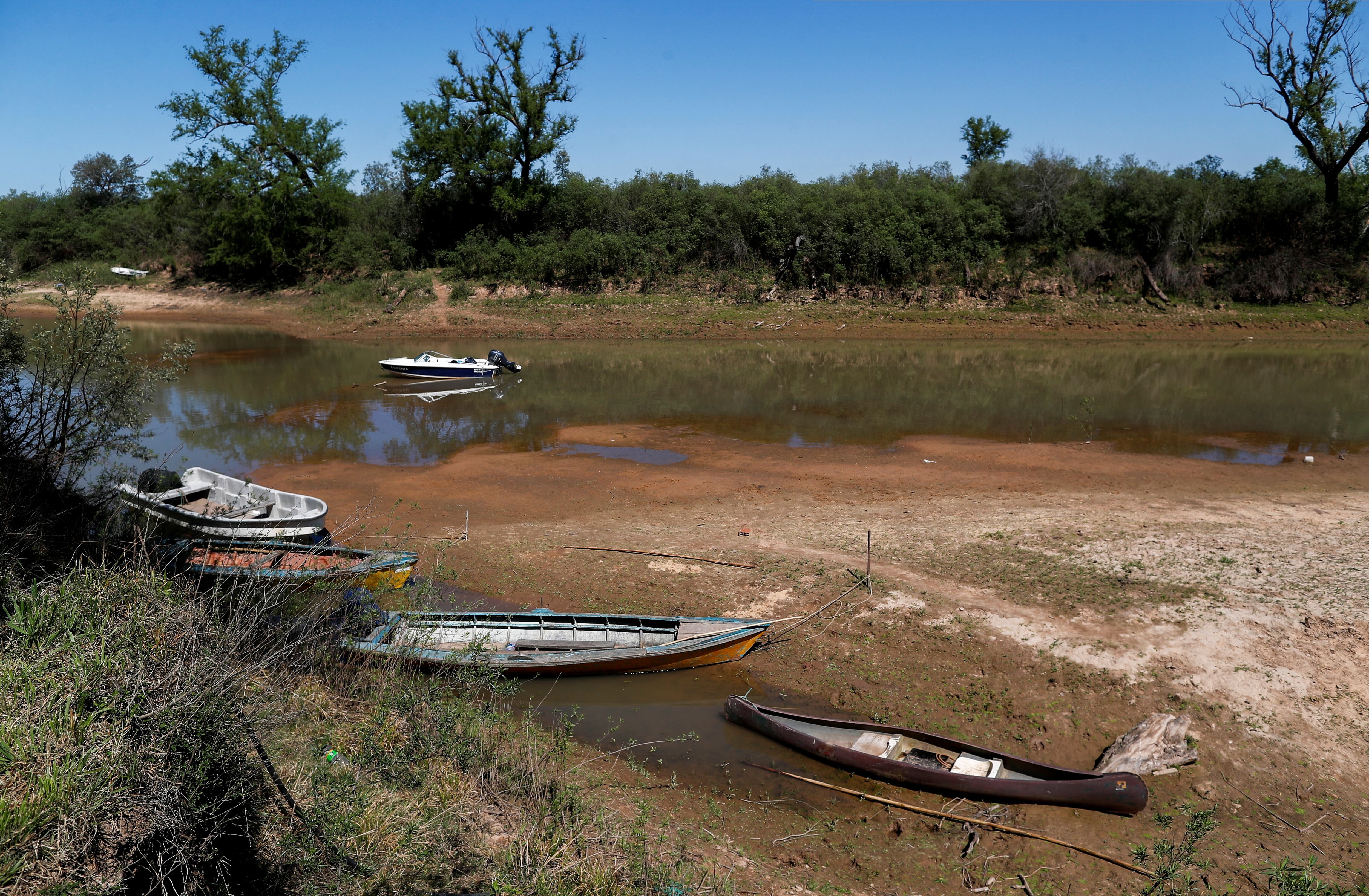 El delta del Paraná es una vasta red de islas, canales y humedales con alta biodiversidad en Argentina. REUTERS/Agustin Marcarian