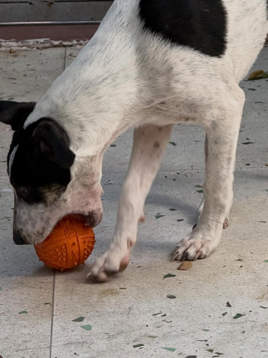 Malena Guinzburg presentó al nuevo miembro de su familia: “Bienvenido Vito a nuestra vida” (Instagram)