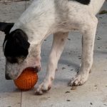 Malena Guinzburg presentó al nuevo miembro de su familia: “Bienvenido Vito a nuestra vida”