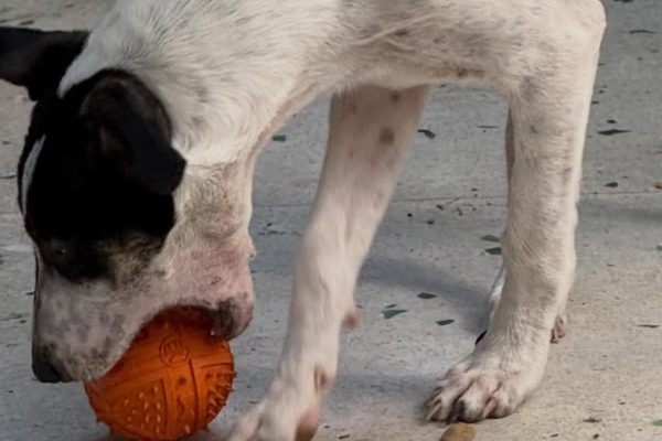 Malena Guinzburg presentó al nuevo miembro de su familia: “Bienvenido Vito a nuestra vida”